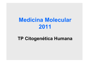 Medicina Molecular 2011