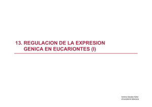13. regulacion de la expresion genica en eucariontes