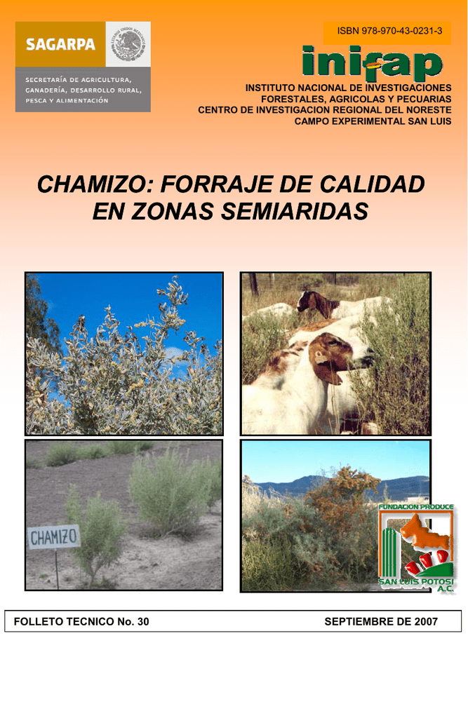 Chamizo Forraje De Calidad En Zonas Semiaridas