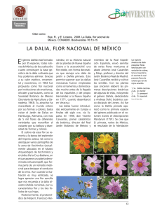la dalia, flor nacional de méxico