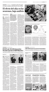 El efecto del zika en las neuronas, bajo análisis