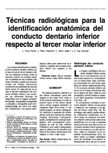 T&eacute;cnicas radiol&oacute;gicas para la identificaci&oacute;n anat&oacute;mica del conducto