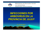 INFECCIONES POR ARBOVIRUS EN LA PROVINCIA DE JUJUY