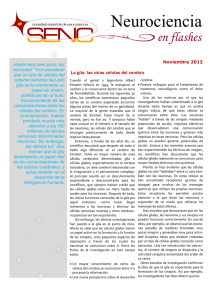 Noviembre 2012 - Sociedad Española de Neurociencia