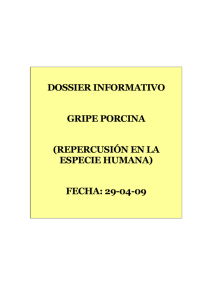 dossier informativo gripe porcina - Ayuntamiento de Talavera de la