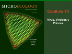 Virus, Viroides y Priones 2-5