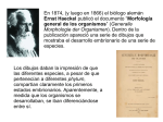 Las mentiras en los textos escolares, el caso de Ernst Haeckel