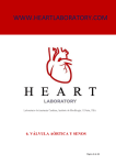 Válvula Aórtica - Heart Laboratory