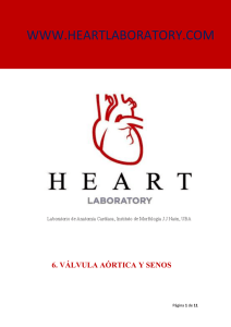 Válvula Aórtica - Heart Laboratory
