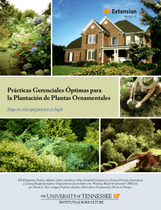 Prácticas Gerenciales Óptimas para la Plantación de Plantas
