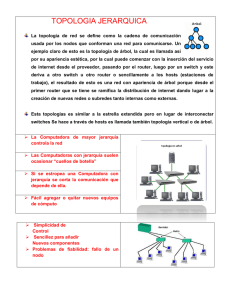 TOPOLOGIA JERARQUICA