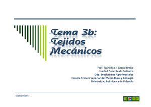 Tejidos Mecánicos
