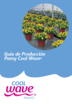 Producción de Cool Wave en Primavera