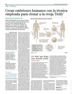 Crean embriones humanos con la técnica empleada para clonar a