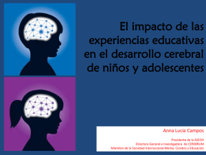 El impacto de las experiencias educativas en el desarrollo cerebral