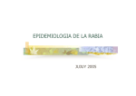epidemiologia de la rabia - Ministerio de Salud de Jujuy