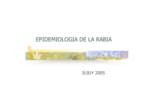 epidemiologia de la rabia - Ministerio de Salud de Jujuy