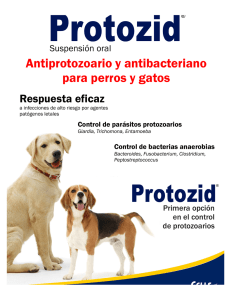 Protozid - Cells Farmaceutica…