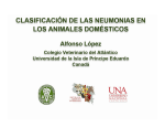 Clasificacion de Neumonías en Cerdos