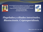Flagelados y ciliados intestinales. Blastocitosis. Criptosporidiosis.