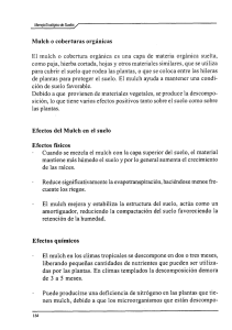 Técnicas para mantenimiento de la fertilidad del suelo 3