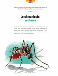 Leishmaniosis: vectores - Revista Ciencia