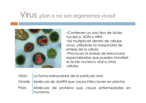 Virus ¿Son o no son organismos vivos?