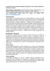 Caracterización de bacterias endófitas asociadas a la raíz de Typha