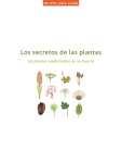 Los secretos de las plantas - Secretos para contar