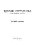 Evaluación del gen circumlineatus (cl) mediante marcadores