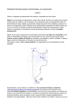 la última propuesta - Argentina en Python