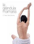 La Glandula Mamaria