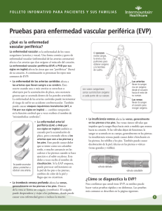 Pruebas para enfermedad vascular periférica (EVP)