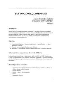 LOS ÓRGANOS, ¿CÓMO SON?