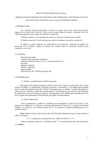 1 prácticas de fisiología vegetal observación de síntomas de