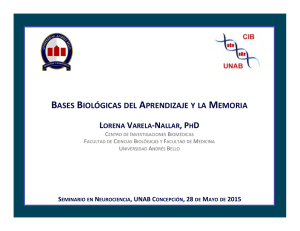 Bases biológicas del aprendizaje y la memoria