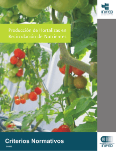 Producción de Hortalizas en Recirculación de Nutrientes