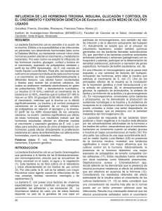 Influencia de las hormonas tiroxina, insulina, glucagón y cortisol en