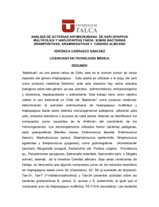 an&aacute;lisis de actividad antimicrobiana de haplopappus multifolius y
