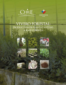 Vivero Forestal: Producción de Plantas Nativas a Raíz