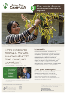 Para los habitantes del bosque, casi todas las especies de árboles