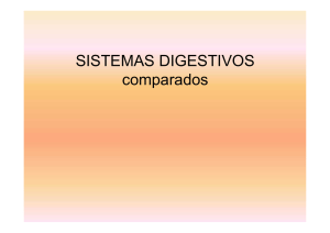 sistemas digestivos - Aula Virtual Maristas Mediterránea