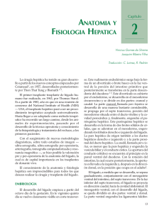 anatomia y fisiologia hepatica - Cirugía Sanchinarro Cirugia