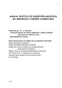 manual práctico de inspección municipal