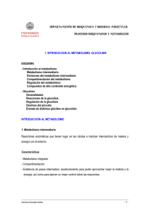 1. Introduccion al Metabolismo. Glucolisis