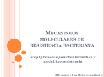 Mecanismos moleculares de resistencia bacteriana