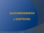 gluconeogenesis l.goetschel