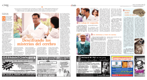 Descifrando los misterios del cerebro