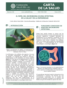 el papel del microbioma (flora) intestinal en la salud y en la