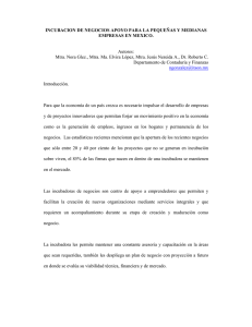 Incubacion de Negocios Apoyo para las Pequeñas y